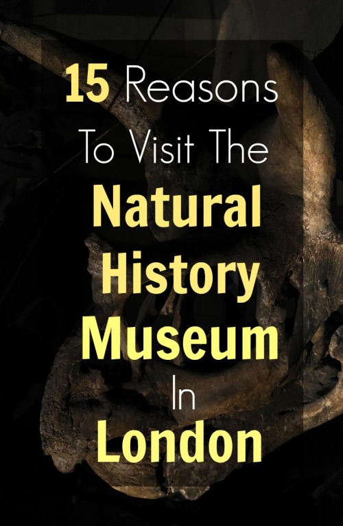 natural-history-museum-london